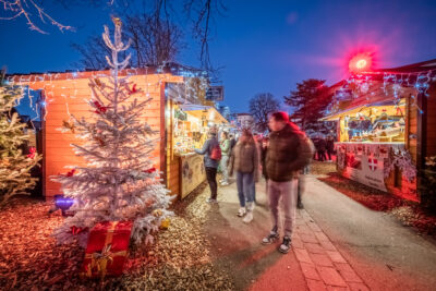 Agrandir l'image 17 sur 19, fenêtre modale