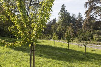 Agrandir l'image 17 sur 27, fenêtre modale