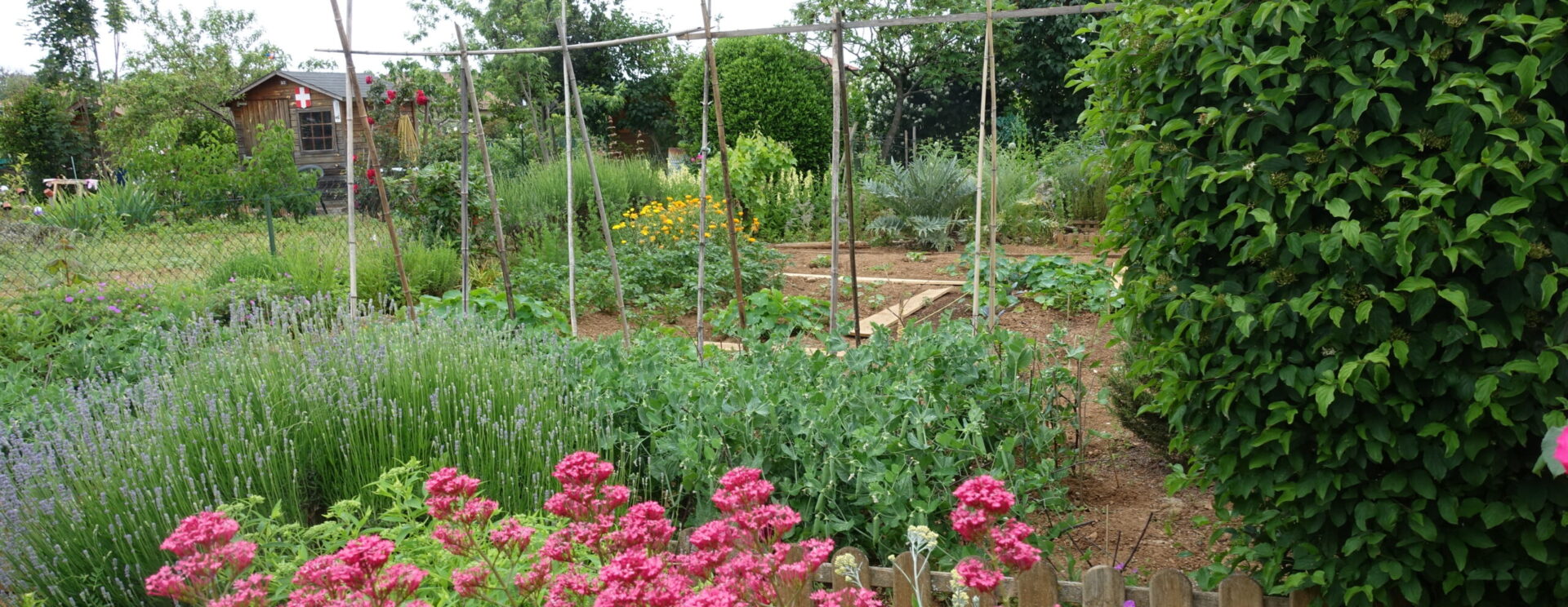 jardin familiaux de Thonon