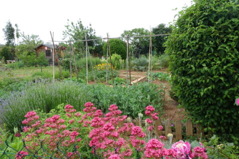 jardin familiaux de Thonon