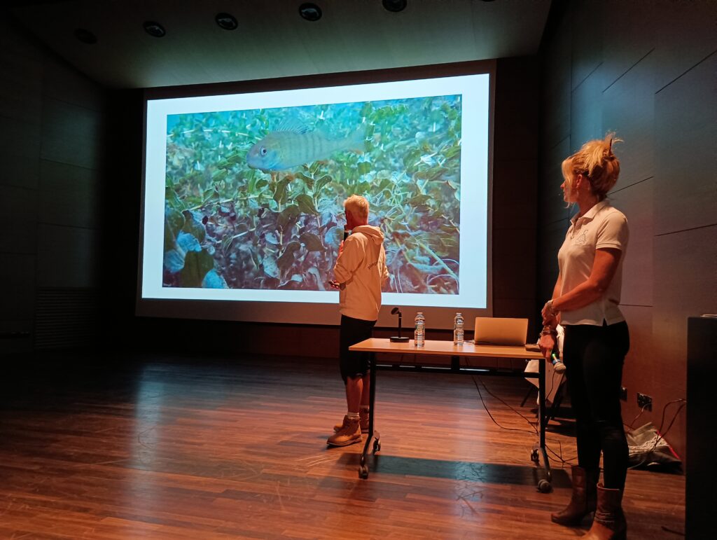 Agrandir l'image, fenêtre modale