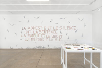 Agrandir l'image 8 sur 9, fenêtre modale