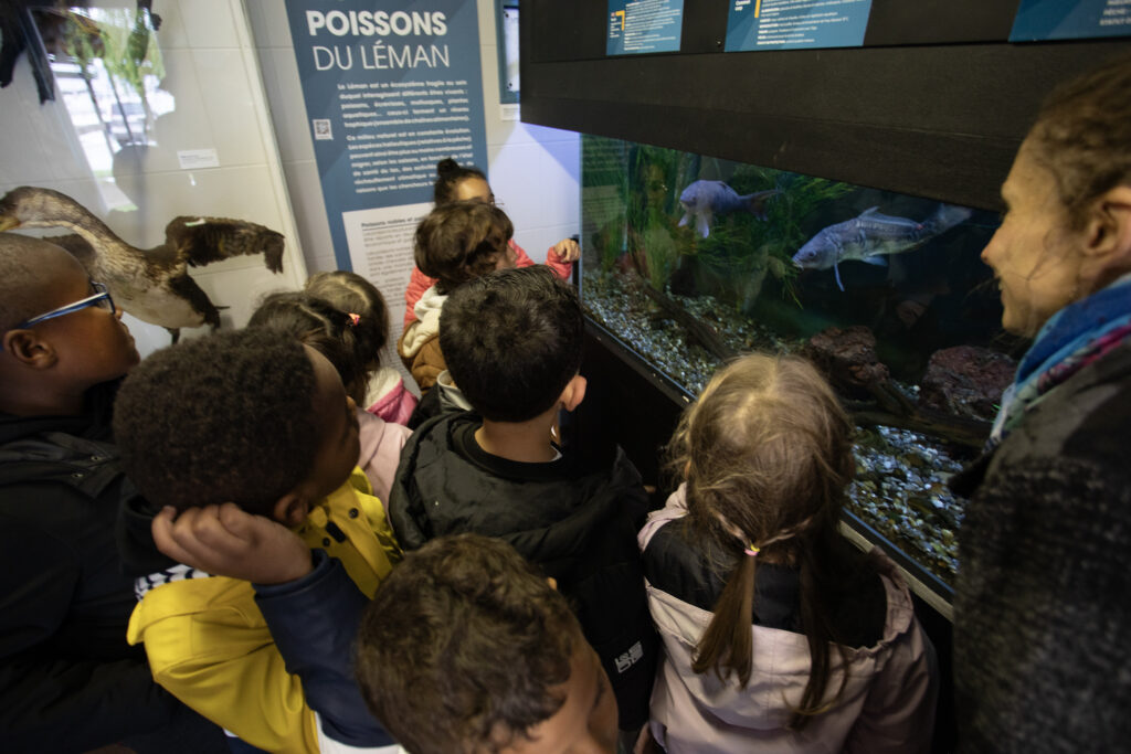 Agrandir l'image, fenêtre modale