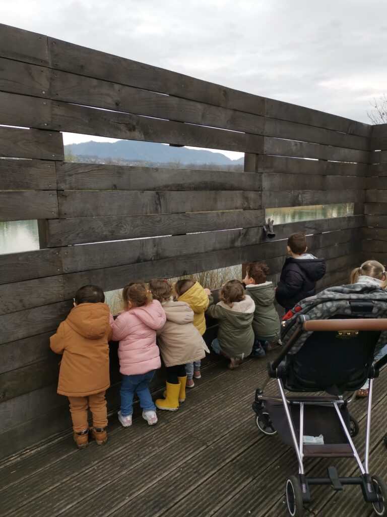 Agrandir l'image, fenêtre modale