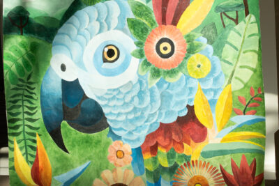 Agrandir l'image 2 sur 13, fenêtre modale