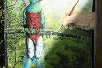 Agrandir l'image 3 sur 13, fenêtre modale