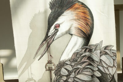 Agrandir l'image 7 sur 13, fenêtre modale