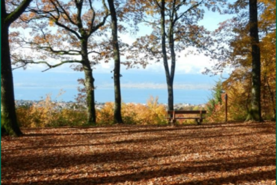 Agrandir l'image 2 sur 3, fenêtre modale