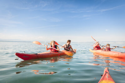 Agrandir l'image 3 sur 3, fenêtre modale