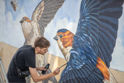 Agrandir l'image 27 sur 41, fenêtre modale