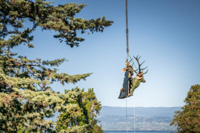 Agrandir l'image 2 sur 12, fenêtre modale