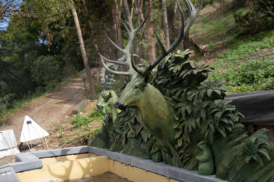 Agrandir l'image 12 sur 12, fenêtre modale