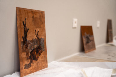 Agrandir l'image 1 sur 3, fenêtre modale