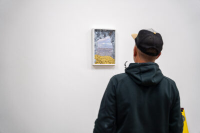 Agrandir l'image 3 sur 3, fenêtre modale