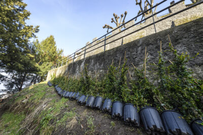 Agrandir l'image 2 sur 3, fenêtre modale