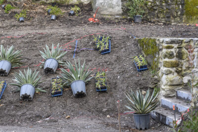 Agrandir l'image 3 sur 3, fenêtre modale