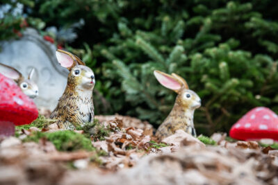 Agrandir l'image 8 sur 9, fenêtre modale