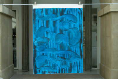 Agrandir l'image 3 sur 3, fenêtre modale