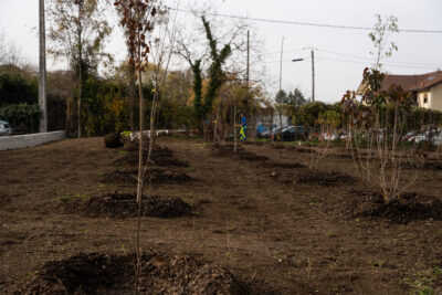 Agrandir l'image 2 sur 15, fenêtre modale