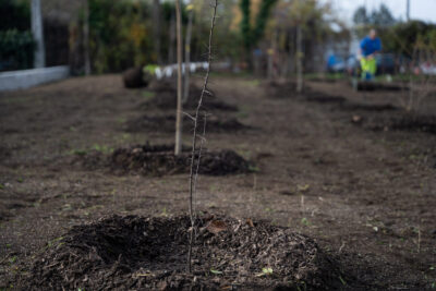 Agrandir l'image 14 sur 15, fenêtre modale