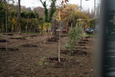 Agrandir l'image 15 sur 15, fenêtre modale