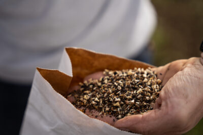 Agrandir l'image 2 sur 3, fenêtre modale