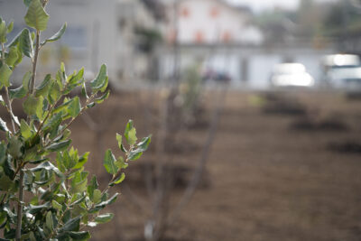 Agrandir l'image 3 sur 3, fenêtre modale