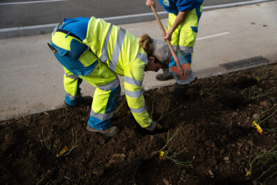 Agrandir l'image 3 sur 15, fenêtre modale