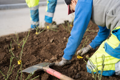 Agrandir l'image 6 sur 15, fenêtre modale
