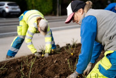 Agrandir l'image 7 sur 15, fenêtre modale