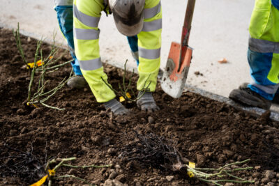 Agrandir l'image 8 sur 15, fenêtre modale