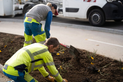 Agrandir l'image 12 sur 15, fenêtre modale