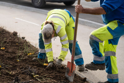 Agrandir l'image 10 sur 15, fenêtre modale
