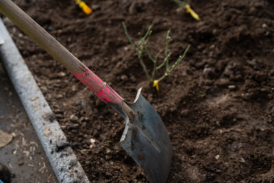 Agrandir l'image 11 sur 15, fenêtre modale