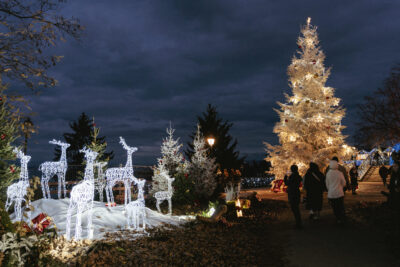 Agrandir l'image 3 sur 9, fenêtre modale